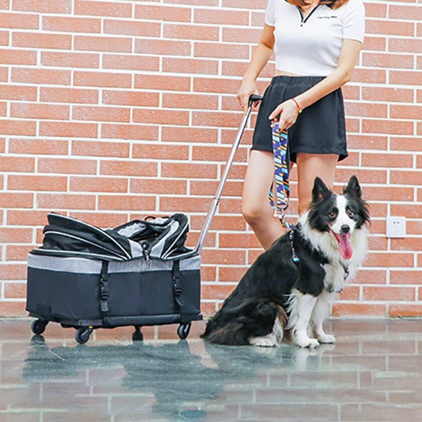 Pet Wheeled Bag, Handbag, Car Cage, Foldable, Breathable, Travel Wheeled Bag for Dogs and Cats with Removable Wheels, Portable Soft Sides (Red) - Image 2