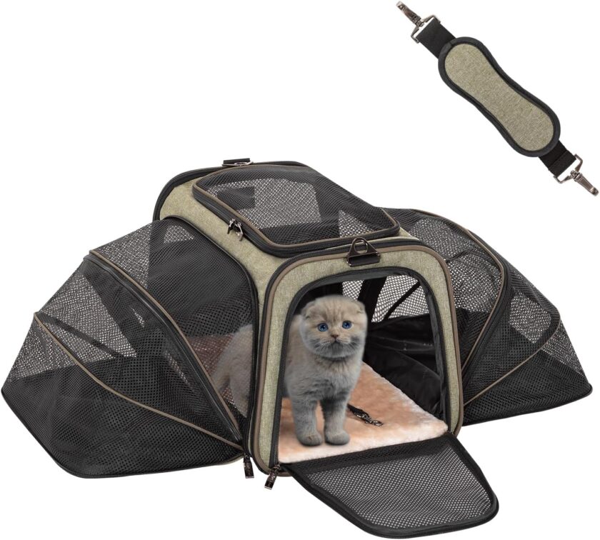 Expandable Rabbit Carrier Bunny Carriers, 16 Inch Airline Approved Pet Carrier with 2 Extensions, Soft Washable Cushion, Self-Locking Zipper Head, Built-in Safety Rope, Fit for Travel