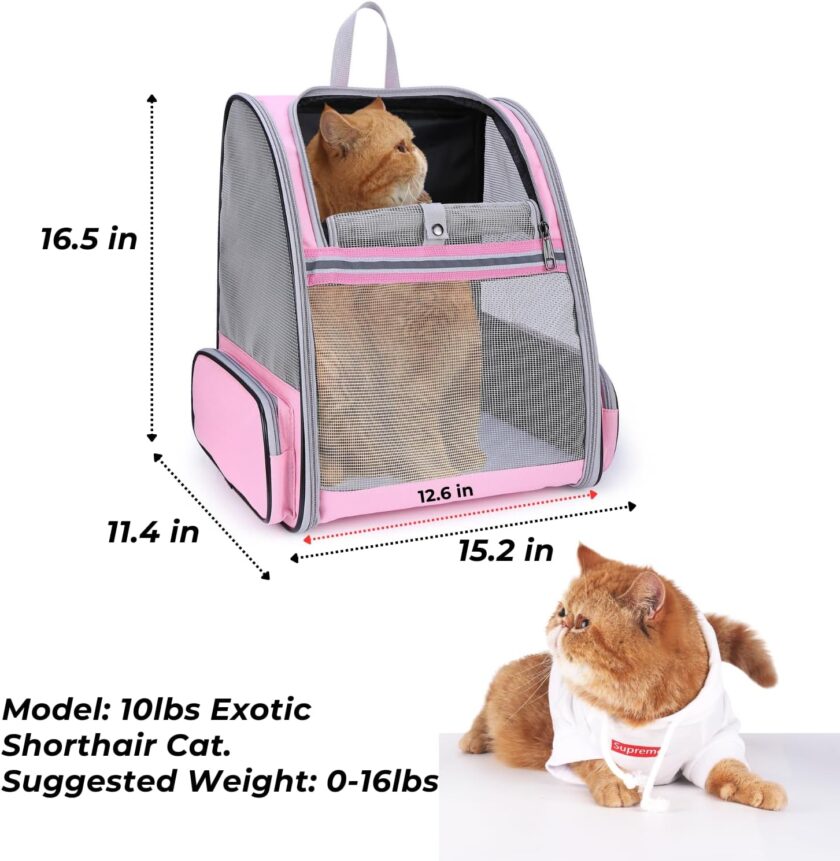 Pet Carrier Backpack for Dogs and Cats,Puppies,Fully Ventilated Mesh,Airline Approved,Designed for Travel, Hiking, Walking & Outdoor Use - Image 2