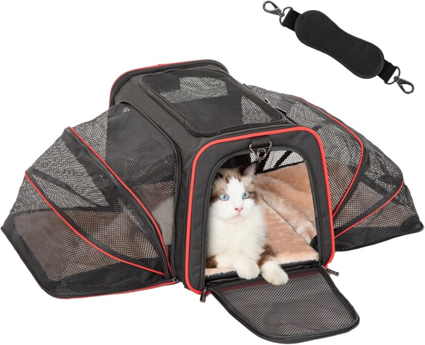 Expandable Cat Carrier Large for 2 Cats, Soft-Sided Pet Carrier, 19x12x12 Inches, 2 Extensions for Adding Comfort, Fit for Pet Up to 15 Lbs, Black