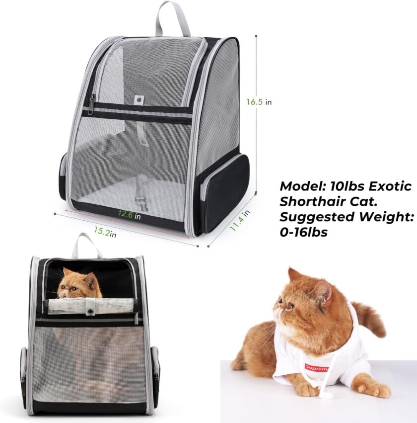 Cat Backpack Carrier, Ideal for Small Animals & Puppies, Outdoor Adventures, Vet Transport. Fully Ventilated Design for Ultimate Comfort On-The-Go - Image 2