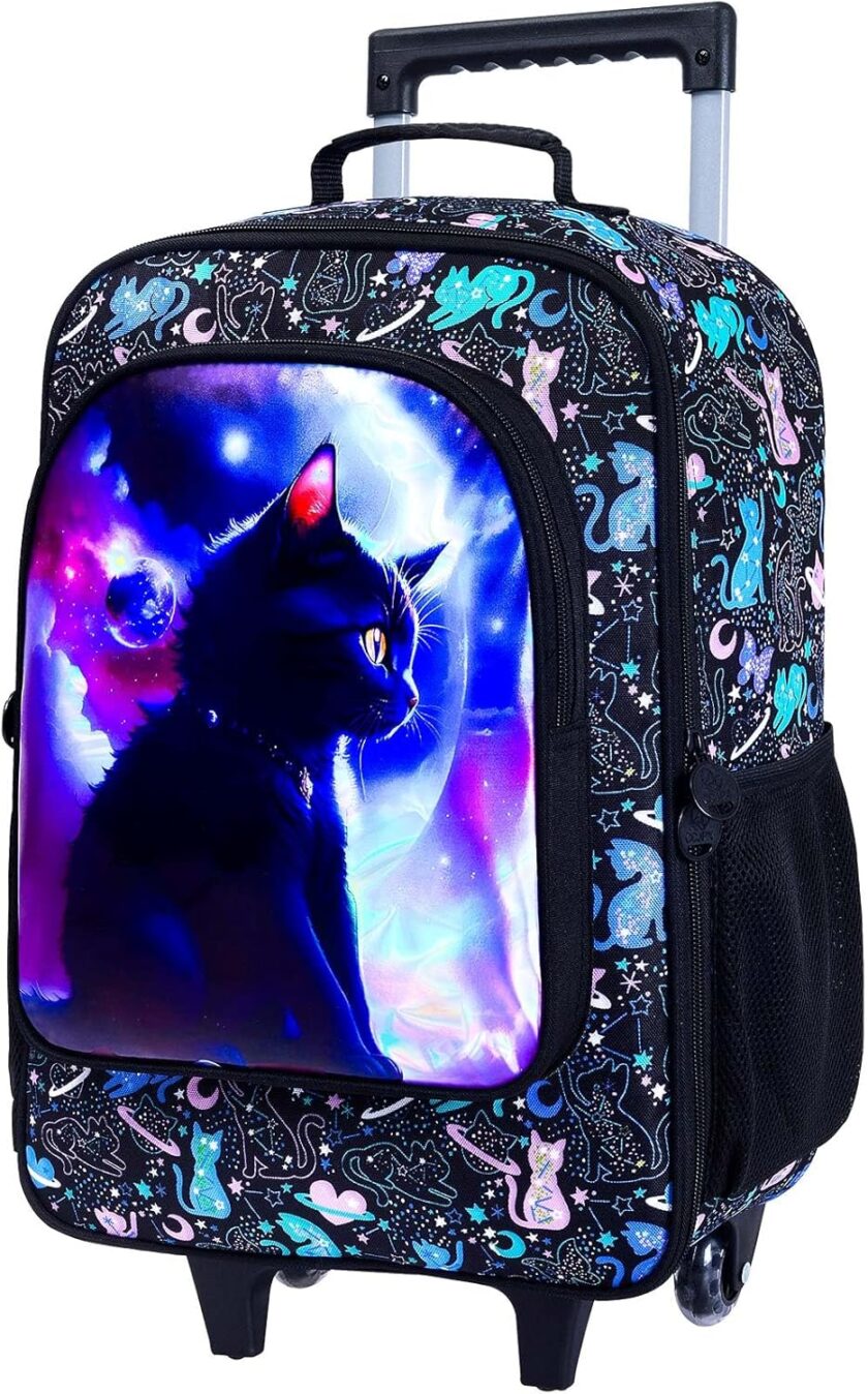 Kids Luggage for Boys Girls, Cute Rolling Wheels Suitcase for Children Toddler