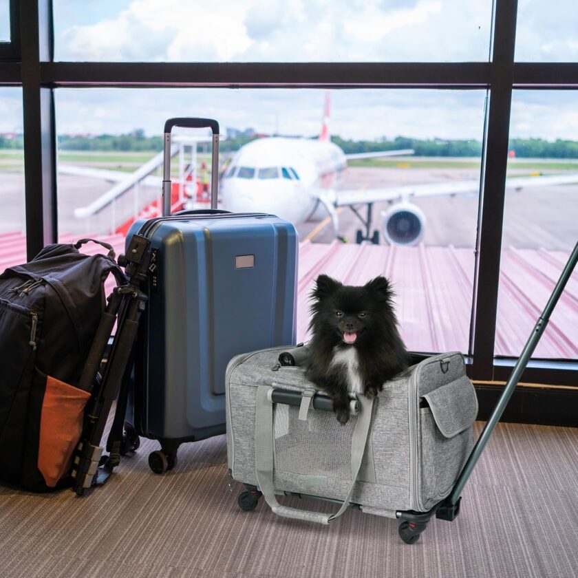 Pet Carrier With Wheels for Dogs Up To 15lbs – Airline Approved Dog Carrier - Rolling Pet Carrier w/ Removable Wheels & Washable Plush Mat – Cat Travel Carrier w/ Telescopic Handle & Shoulder Strap - Image 2